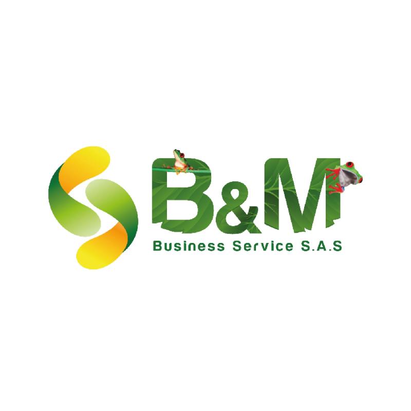 Business Service B&M S.A.S